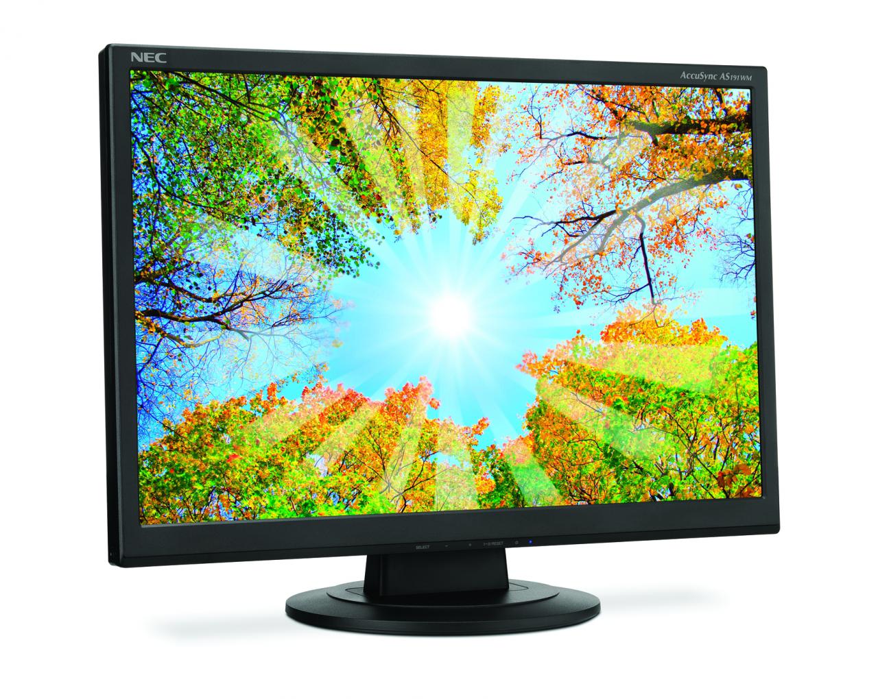 [02/10/2009] NEC AccuSync AS191WM