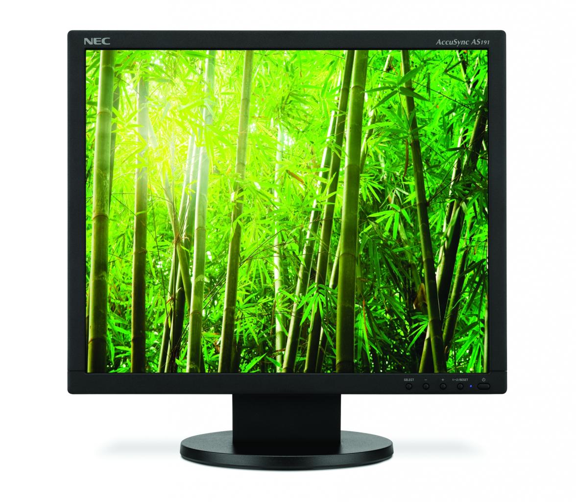 [02/10/2009] NEC AccuSync AS191