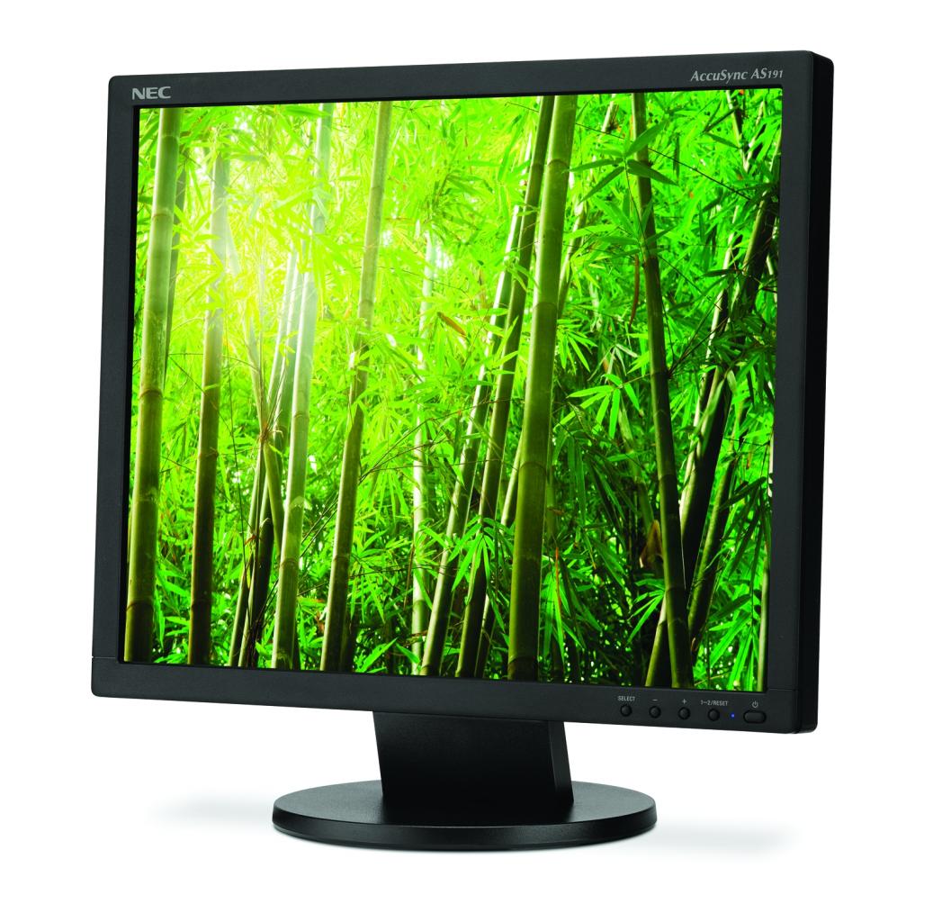 [02/10/2009] NEC AccuSync AS191