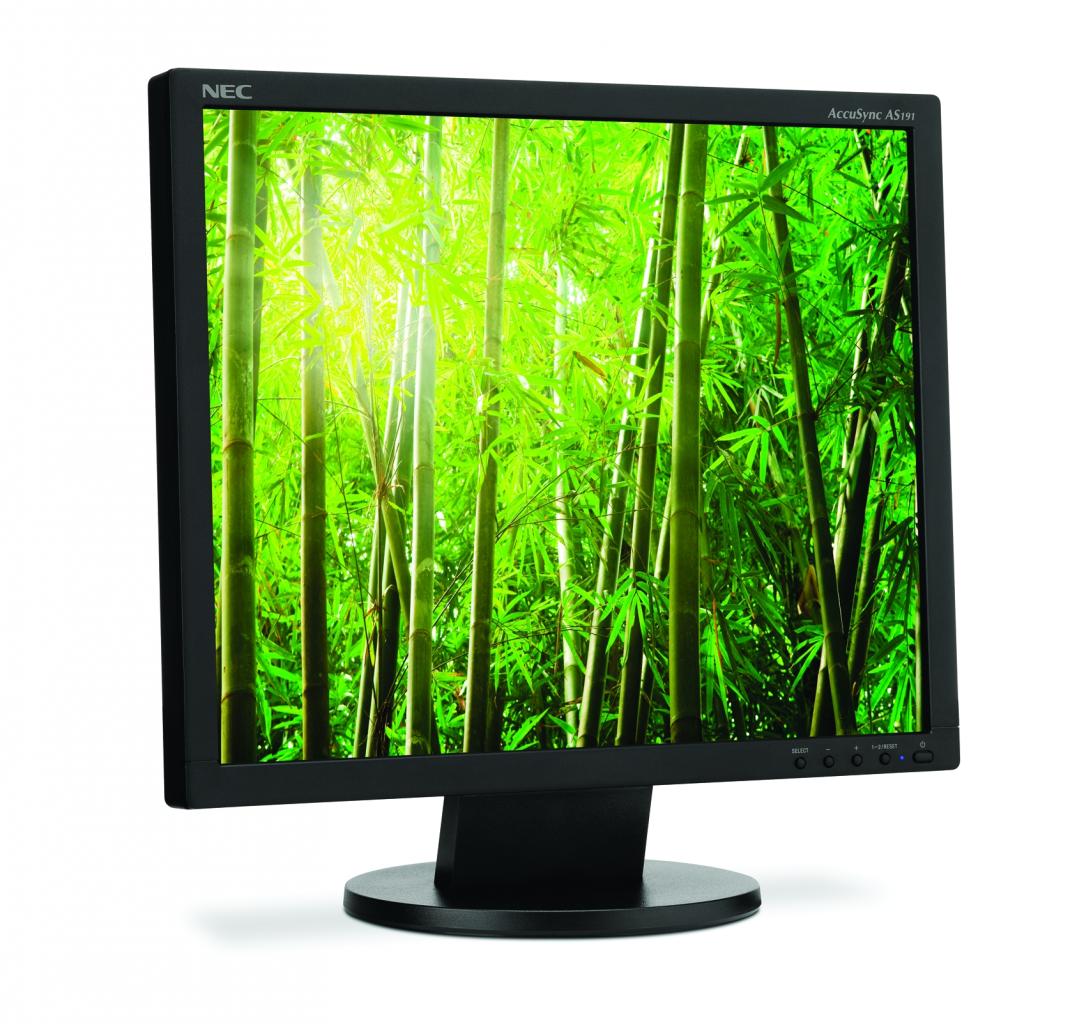 [02/10/2009] NEC AccuSync AS191