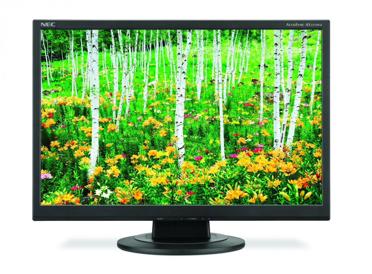 [02/10/2009] NEC AccuSync AS221WM