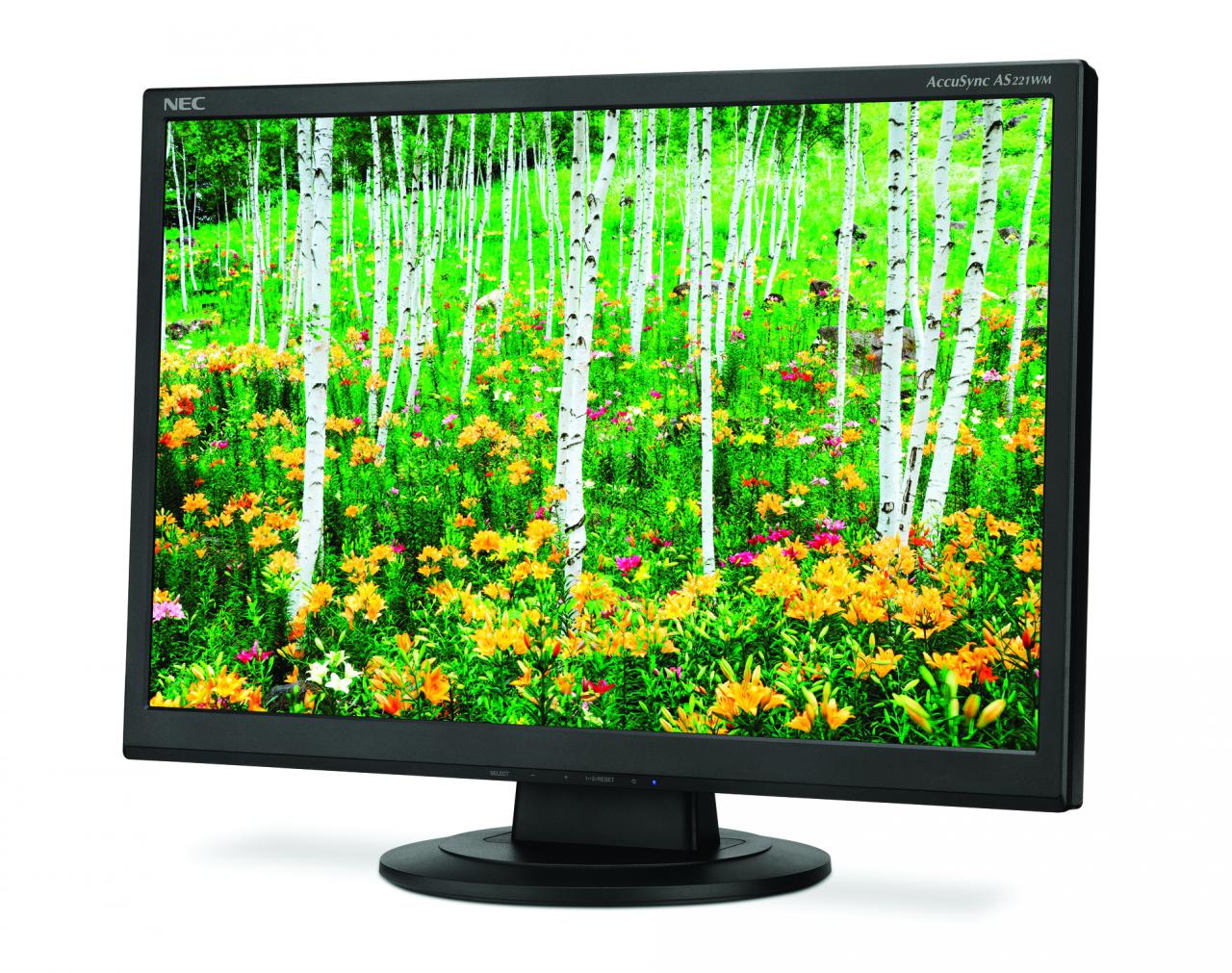 [02/10/2009] NEC AccuSync AS221WM