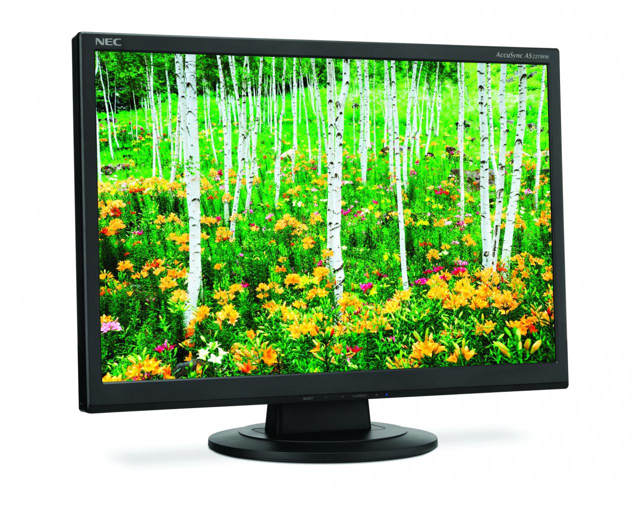 [02/10/2009] NEC AccuSync AS221WM