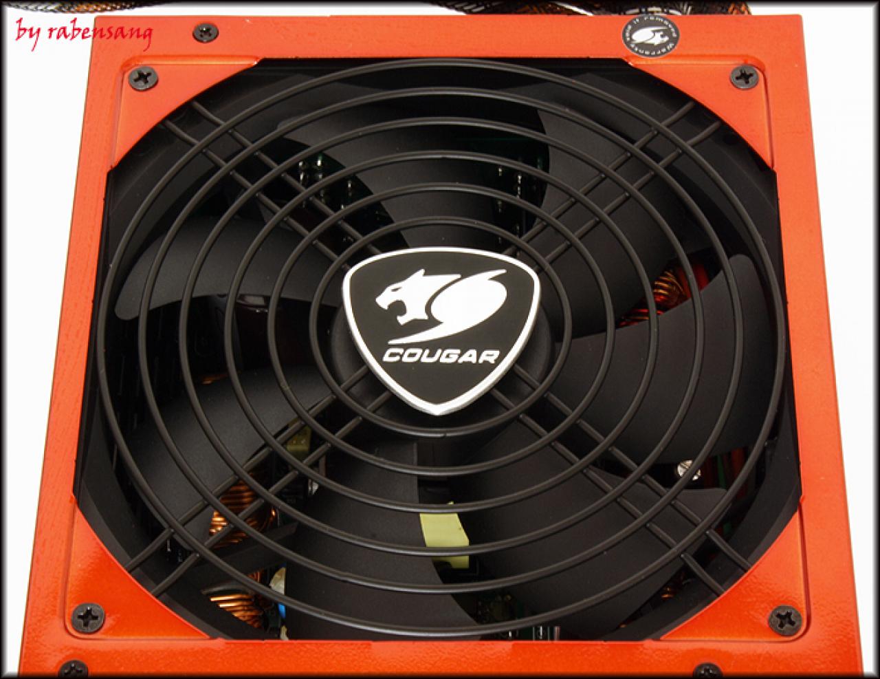 [02/10/2009] Cougar CM Power 700 (3)