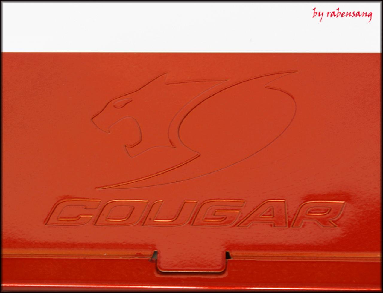 [02/10/2009] Cougar CM Power 700 (5)