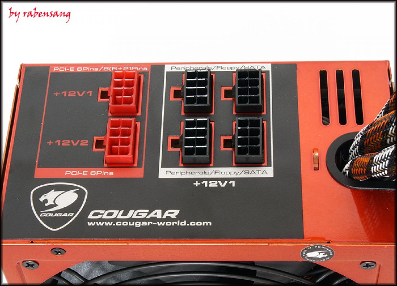 [02/10/2009] Cougar CM Power 700 (6)