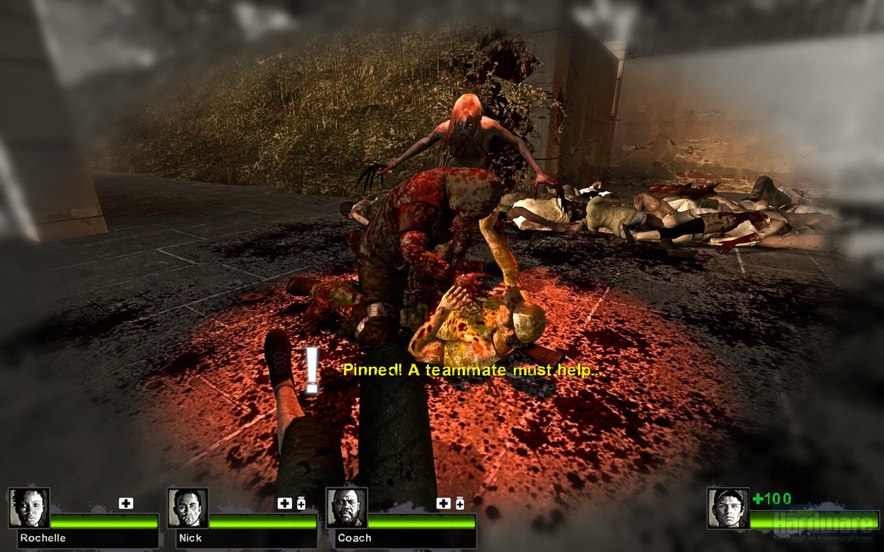 [29/10/2009] Left for Dead läuft unter Linux schneller (30)