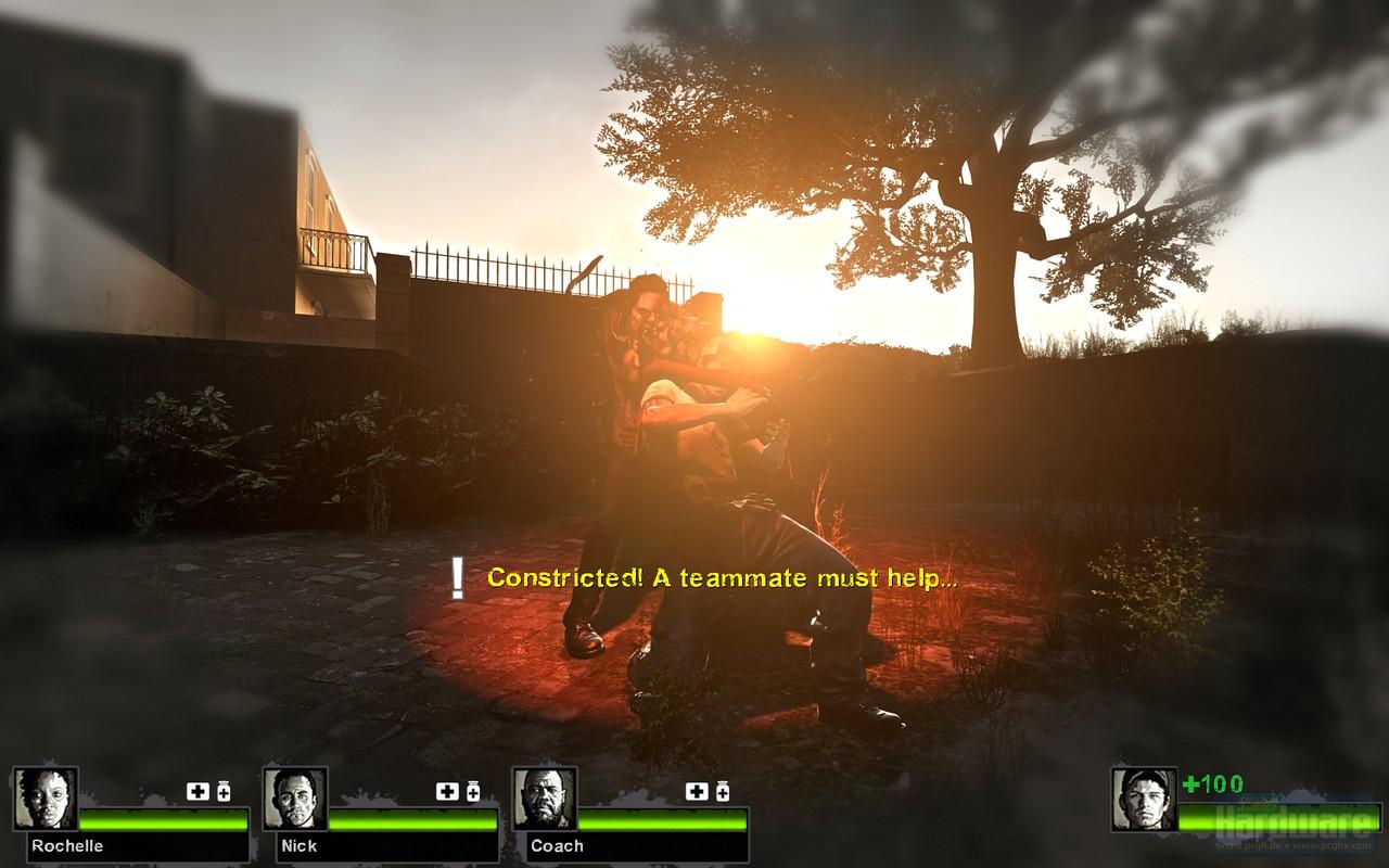 [29/10/2009] Left for Dead läuft unter Linux schneller (35)