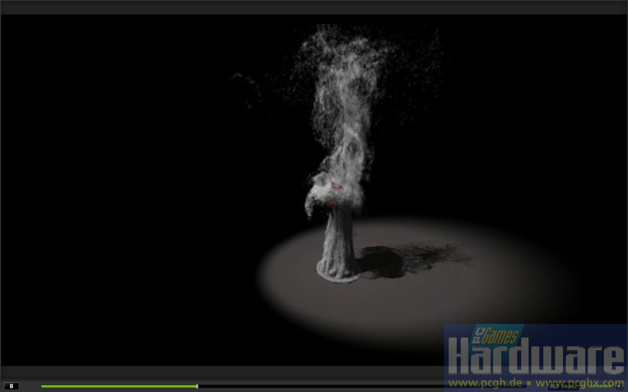 [01/10/2009] Rauch-Demo (GTC 2009)