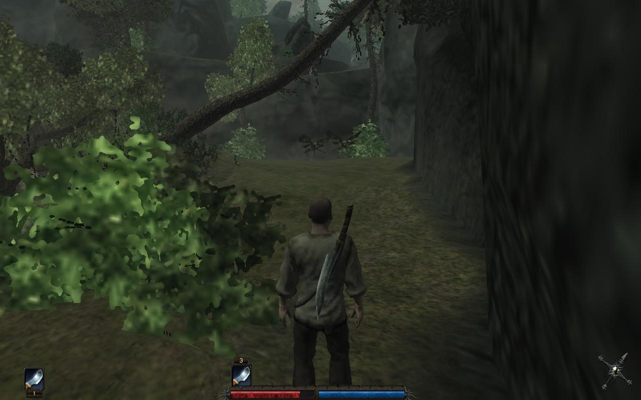 [16/10/2009] Risen: Minimale Grafik, geeignet für 2-GHz-CPU und Shader-Modell-3-Grafikkarte mit 256 MiByte.