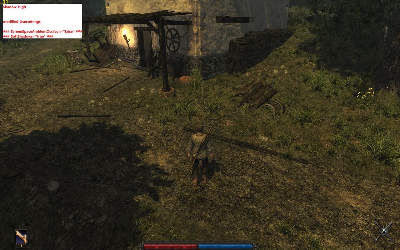 [05/10/2009] Risen: SSAO aus, Soft Shadows an