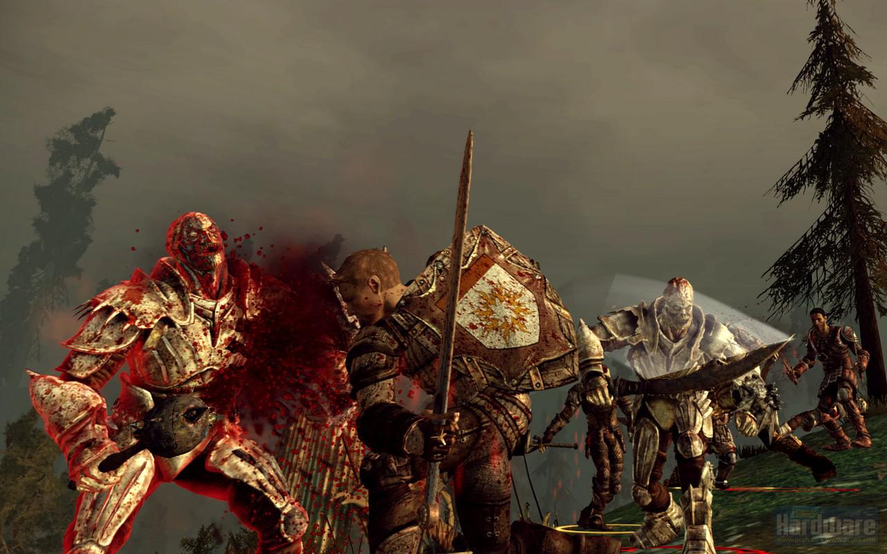 [03/11/2009] Dragon Age Origins (2)