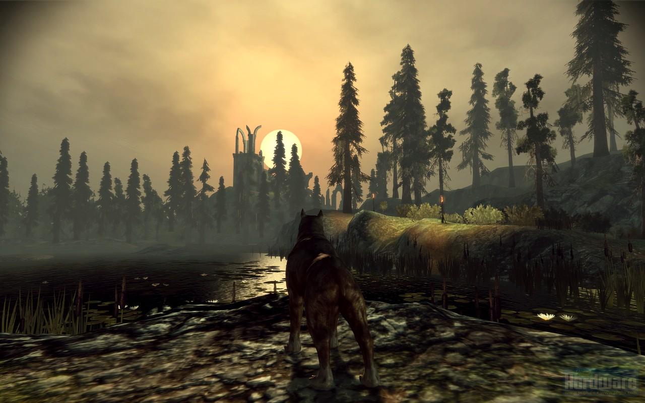[03/11/2009] Dragon Age Origins (12)