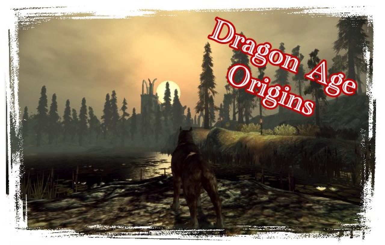 [03/11/2009] Dragon Age Origins (13)