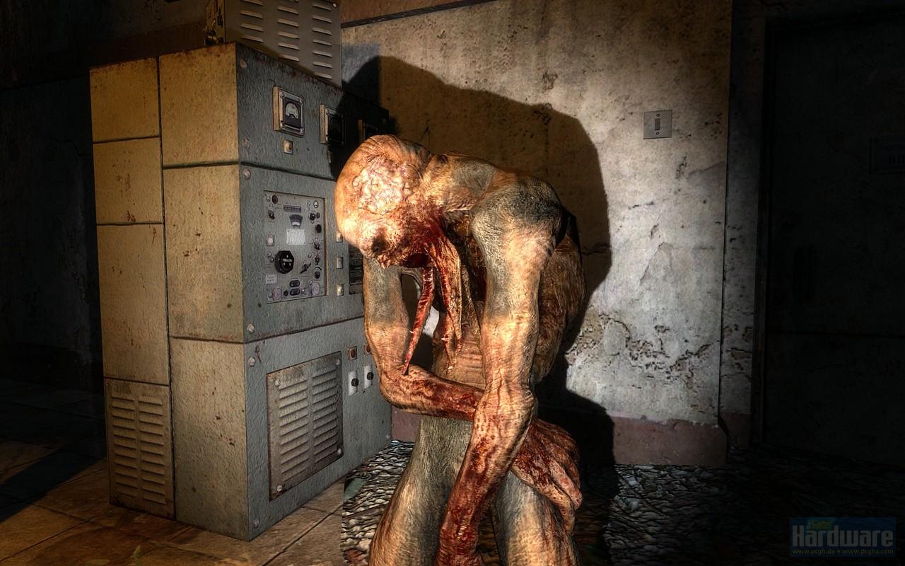 [05/11/2009] Stalker Call of Pripyat (11)