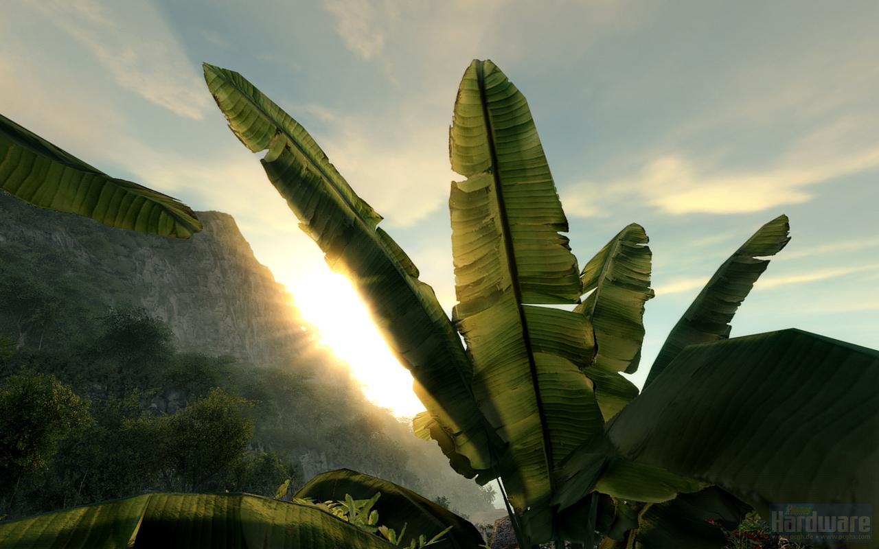 [22/12/2009] Wie sollte es anders sein, auch Crysis darf noch mal ran: Das zwischen Palmblatt und Bergmassiv strahlende Sonnenlicht brachte meine GTX 280 zum Absturz – 32xS samt Texturmod war einfach zu viel.