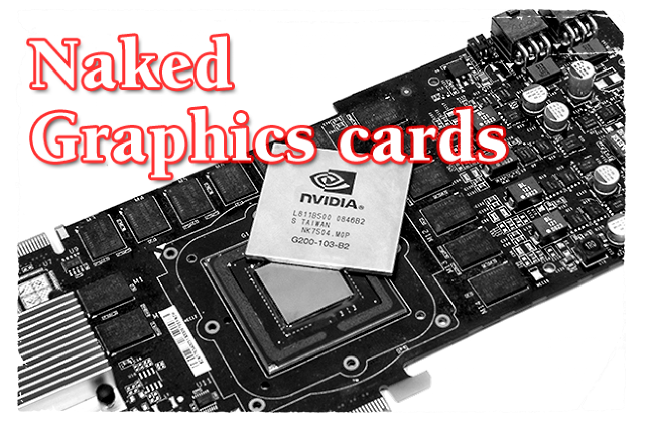 [12/22/2009] Naked Graphics Cards