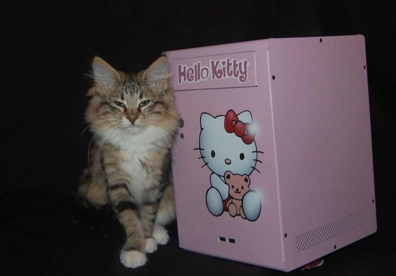 [23/12/2009] Hello-Kitty-PC im Eigenbau: das Finale (3)