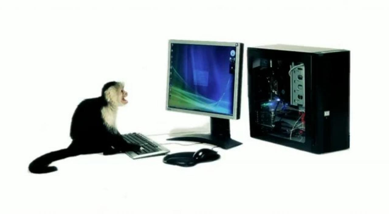 [15/01/2010] AMD wirbt auf Youtube mit einem Grafikkarten-verbauenden Affen (3)