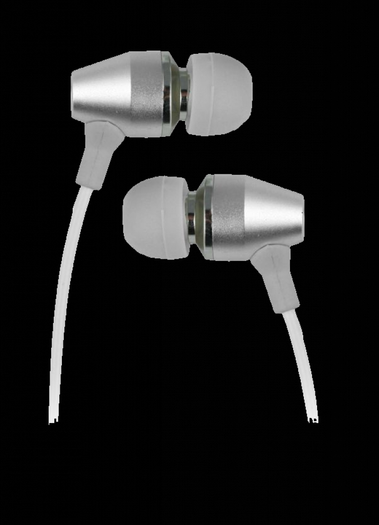 [22/01/2010] Arctic Sound E231