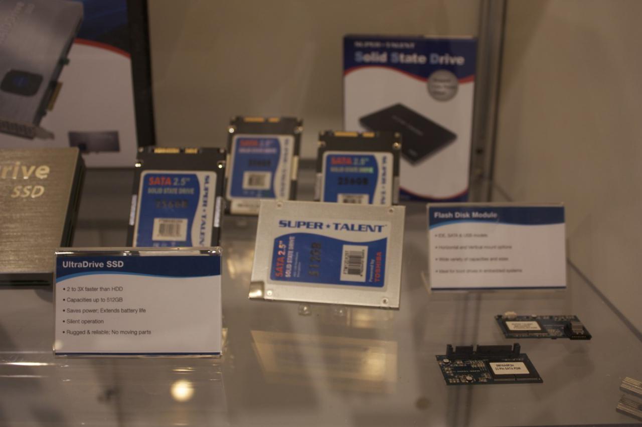 [09/01/2010] Supertalent auf der CES 2010 (18)