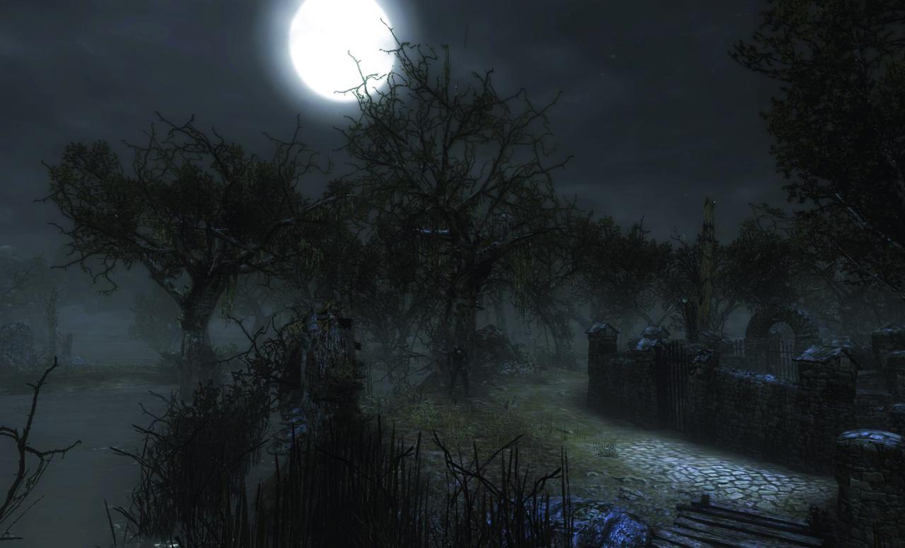 [11/01/2010] und Two Worlds 2 bei Nacht...