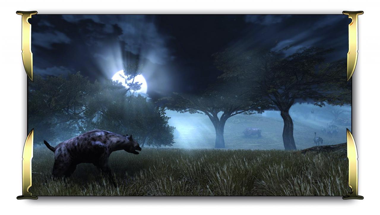[11/01/2010] und Two Worlds 2 bei Nacht...