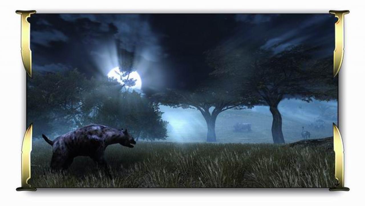 Two Worlds 2 Shot Savanna Night