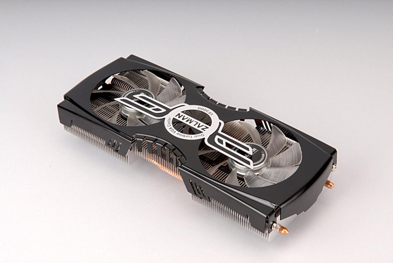 [11/01/2010] Zalman VF3000N