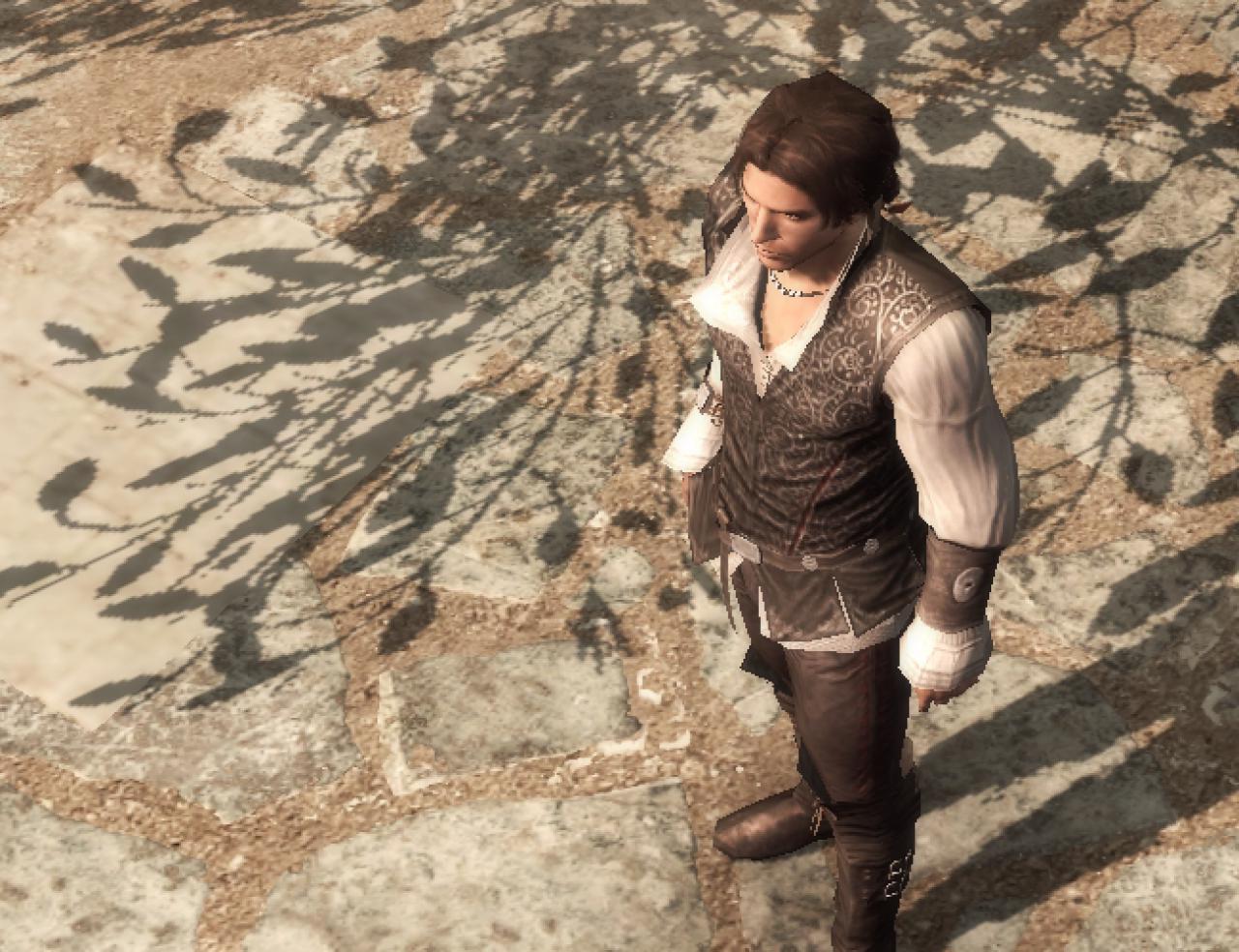 Assassin's Creed 2 (7)