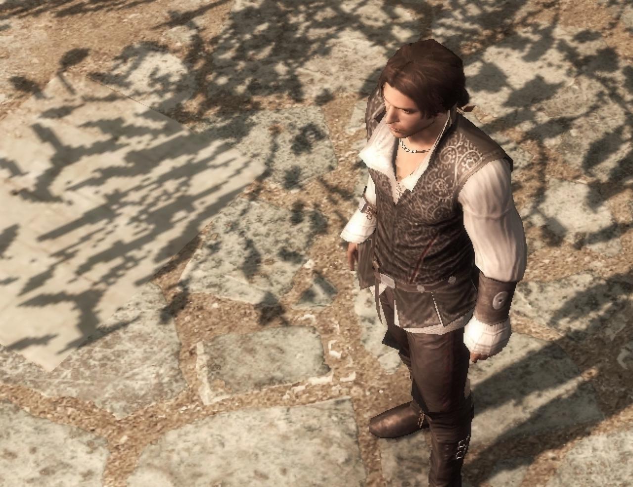 Assassin's Creed 2 (8)