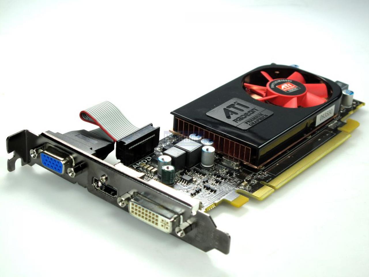 [08/02/2010] AMD Ati Radeon HD 5570 Graphics Card
