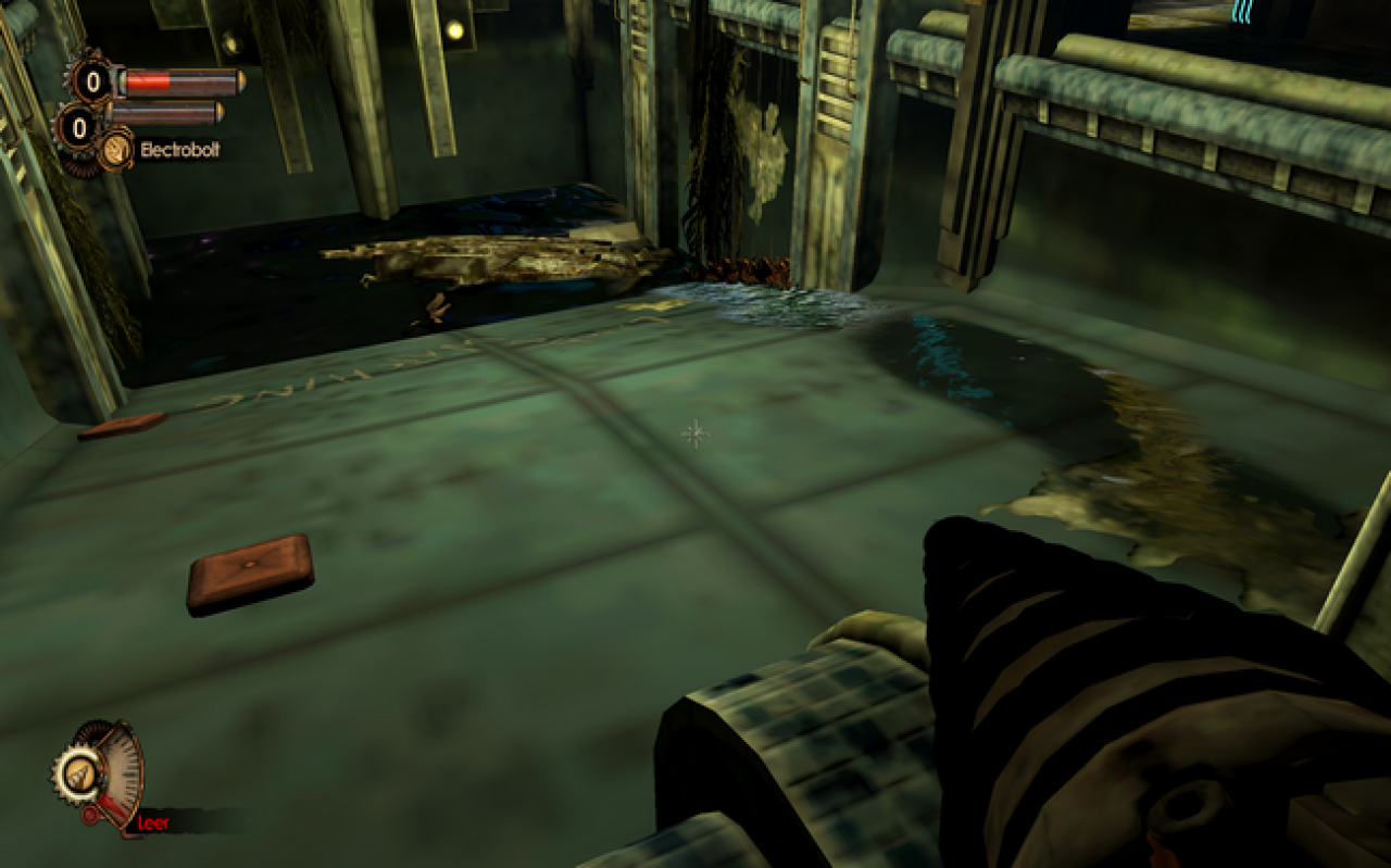 Bioshock 2 (30)