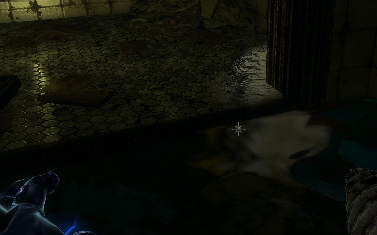 [10/02/2010] Bioshock 2 Top: Das Wasser wirkt oft real