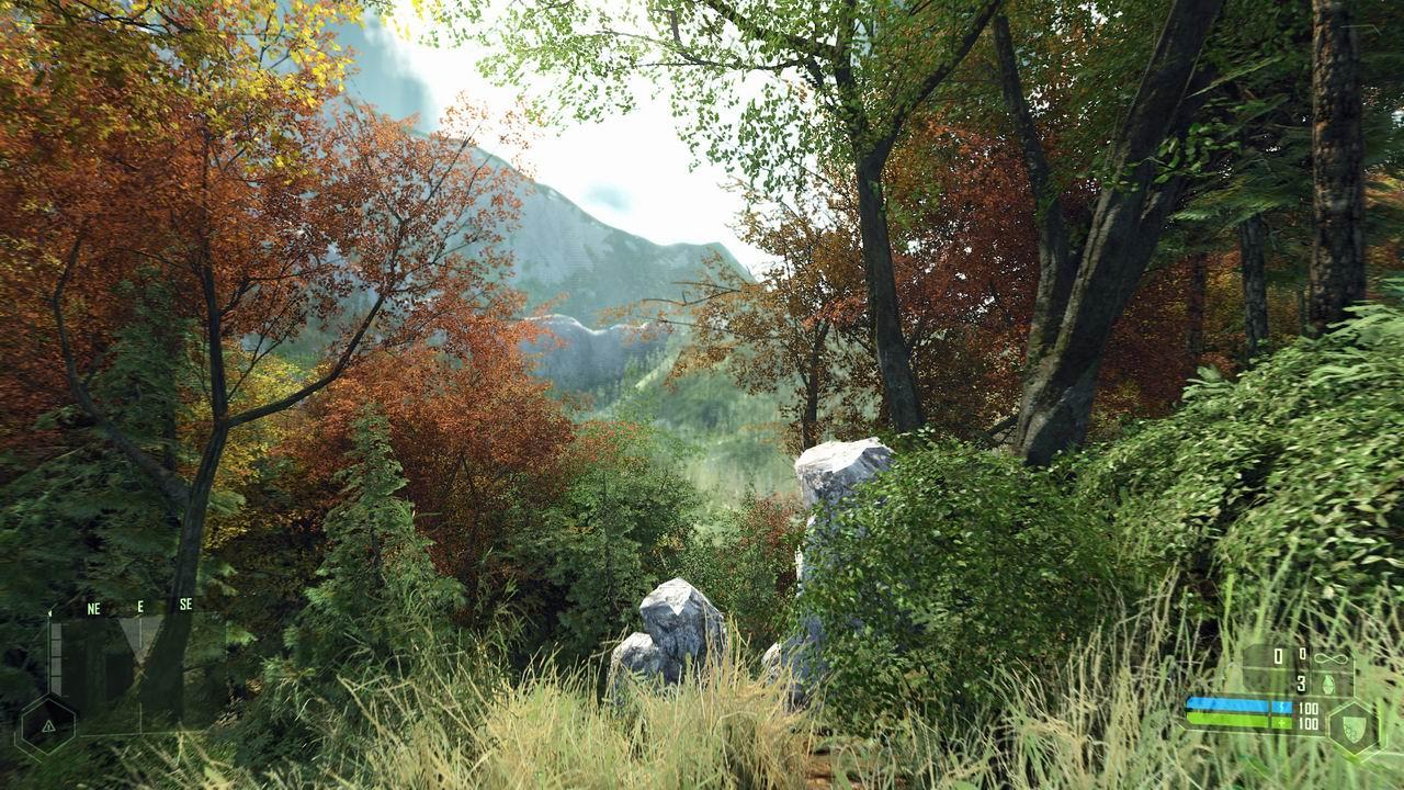 [09/02/2010] Crysis Widet2 by Mr. Lolman (12)