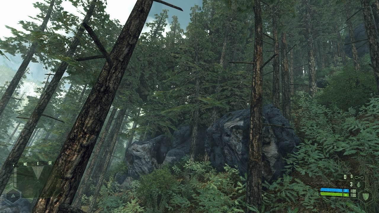 [09/02/2010] Crysis Widet2 by Mr. Lolman (3)