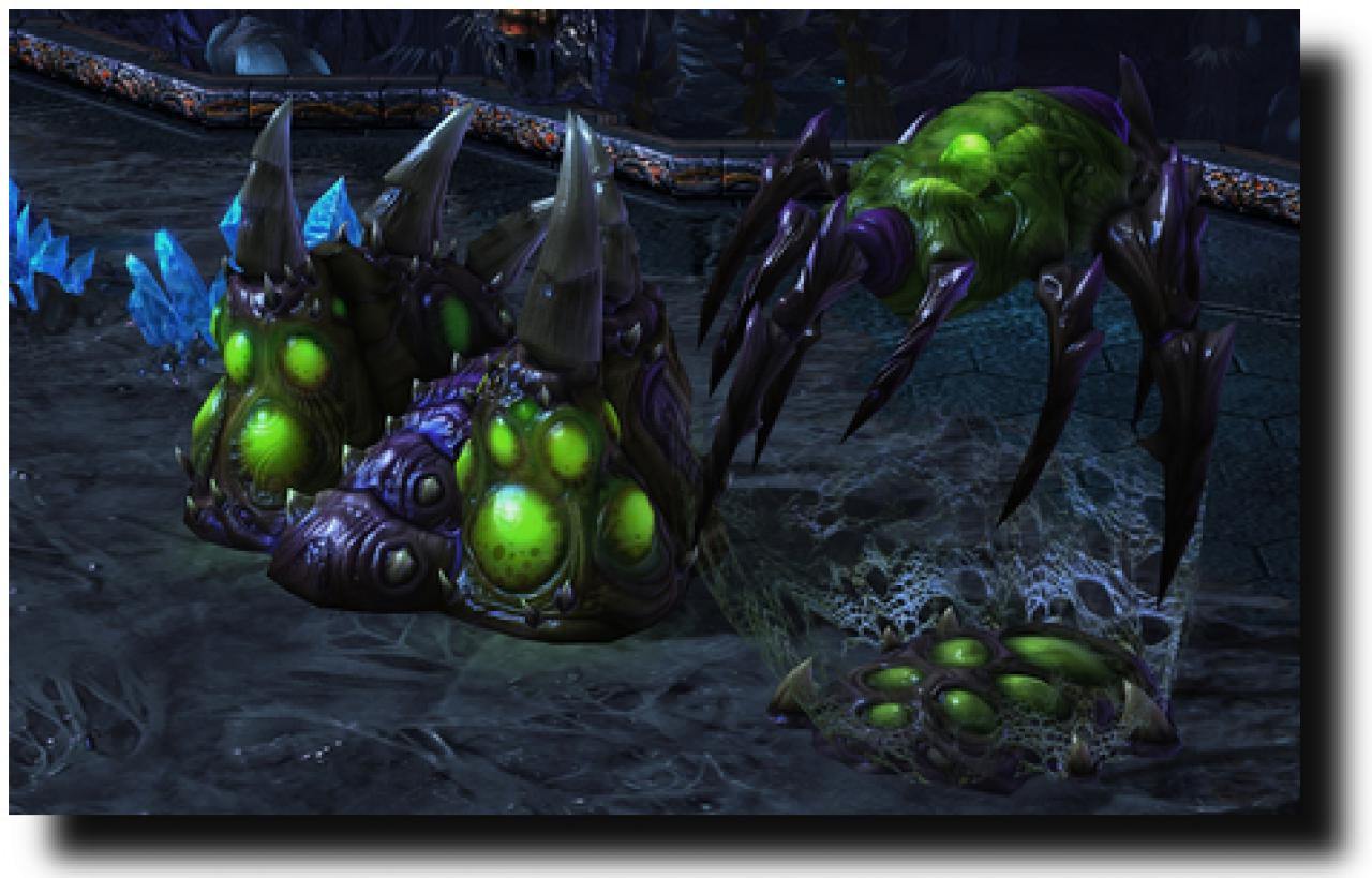 [19/02/2010] Starcraft 2 Beta (13)