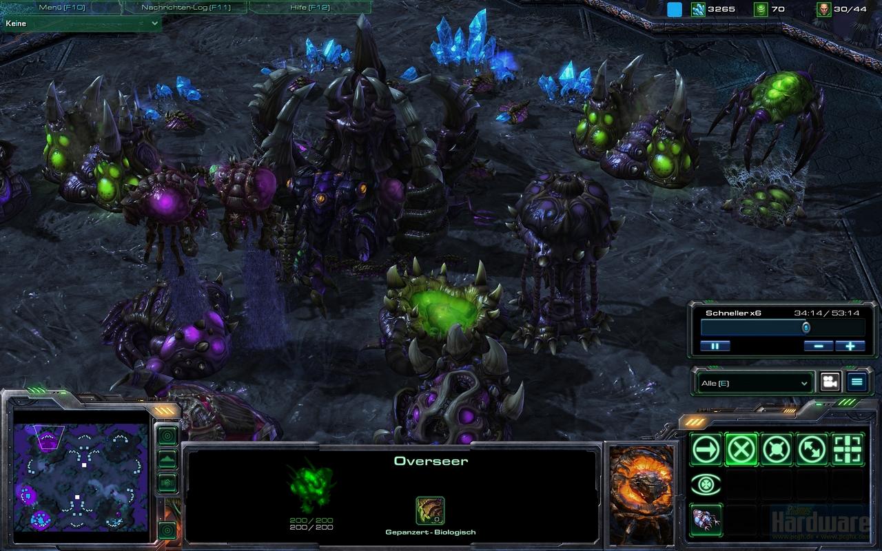 [19/02/2010] Starcraft 2 Beta (13)