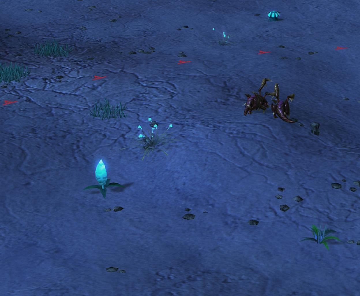 Starcraft 2 Beta (20)