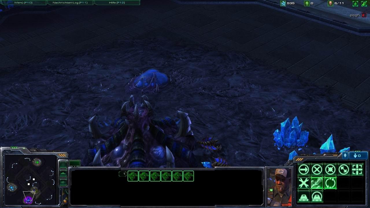 [18/02/2010] Starcraft 2: Screenshots aus der Beta (10)