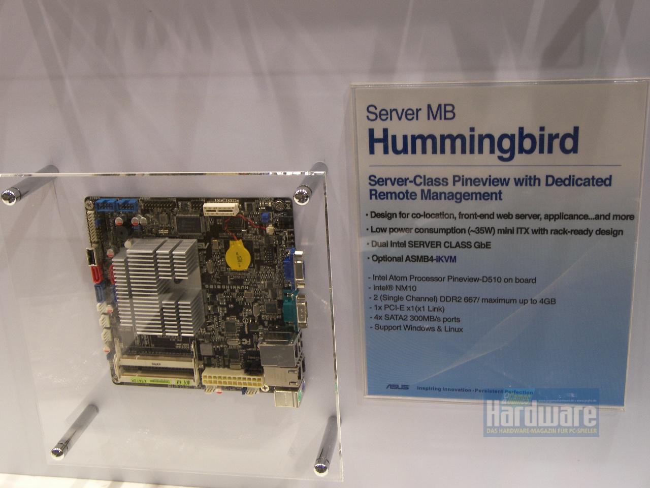 [03/03/2010] Asus Hummingbird
