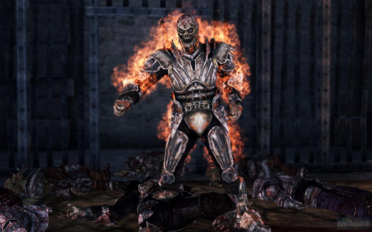 [17/03/2010] Dragon Age Origins - The Awakening (12)