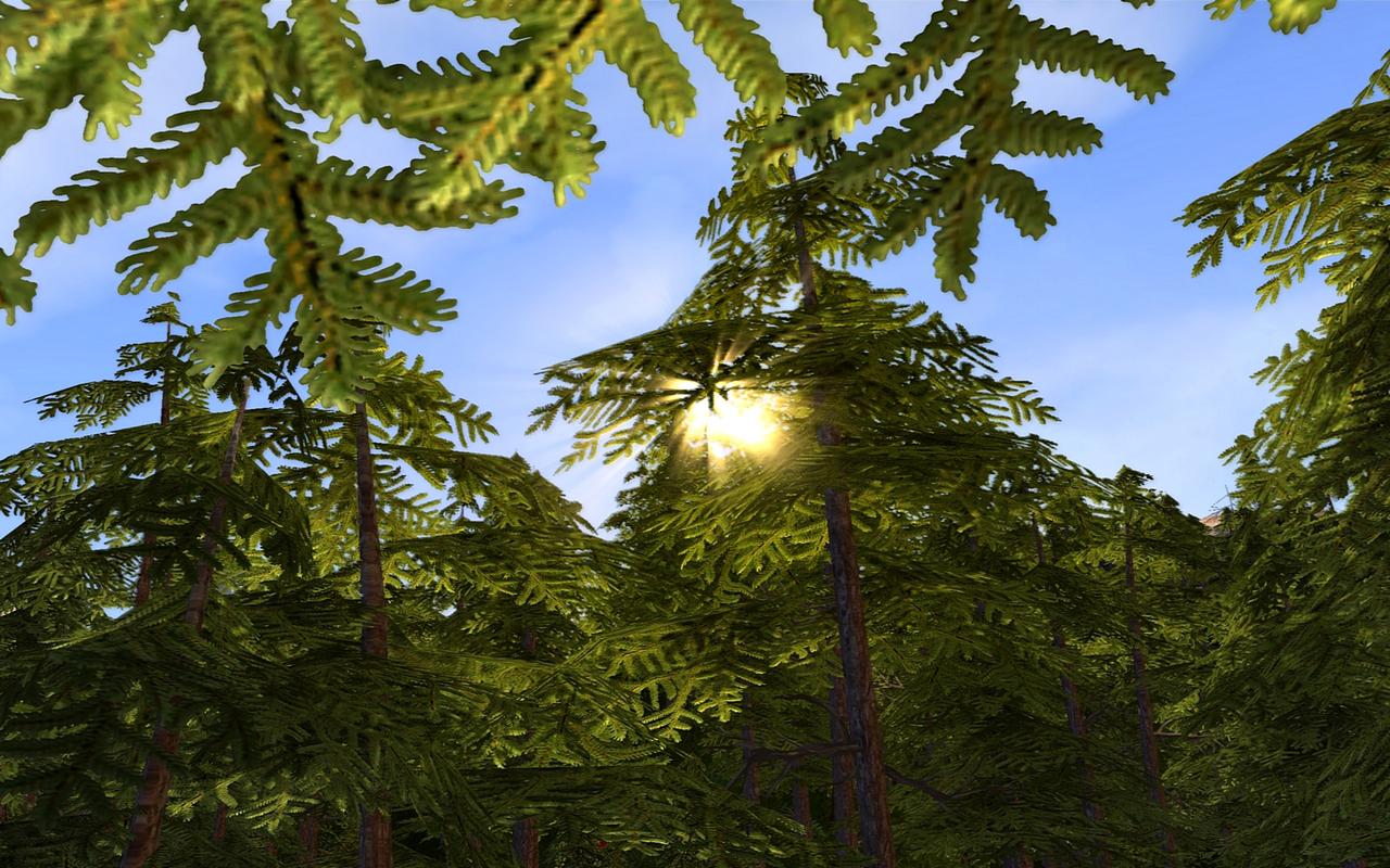 [04/03/2010] Die Siedler 7: CPU Benchmarks (6)