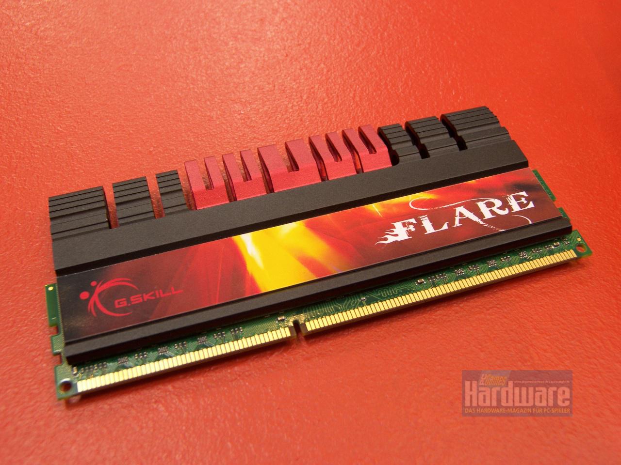 [03/03/2010] G.Skill Flare