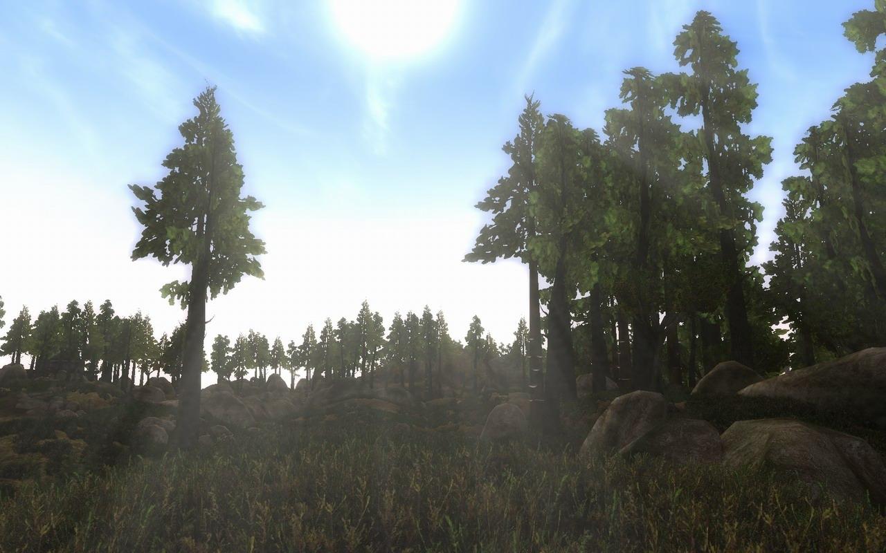 [23/03/2010] Morrowind mit Mods by BlackF0g (8)