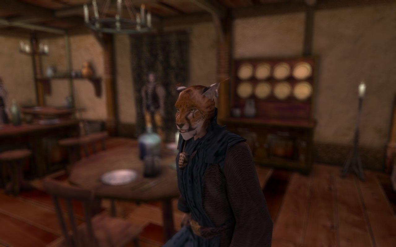 [23/03/2010] Morrowind mit Mods by BlackF0g (11)