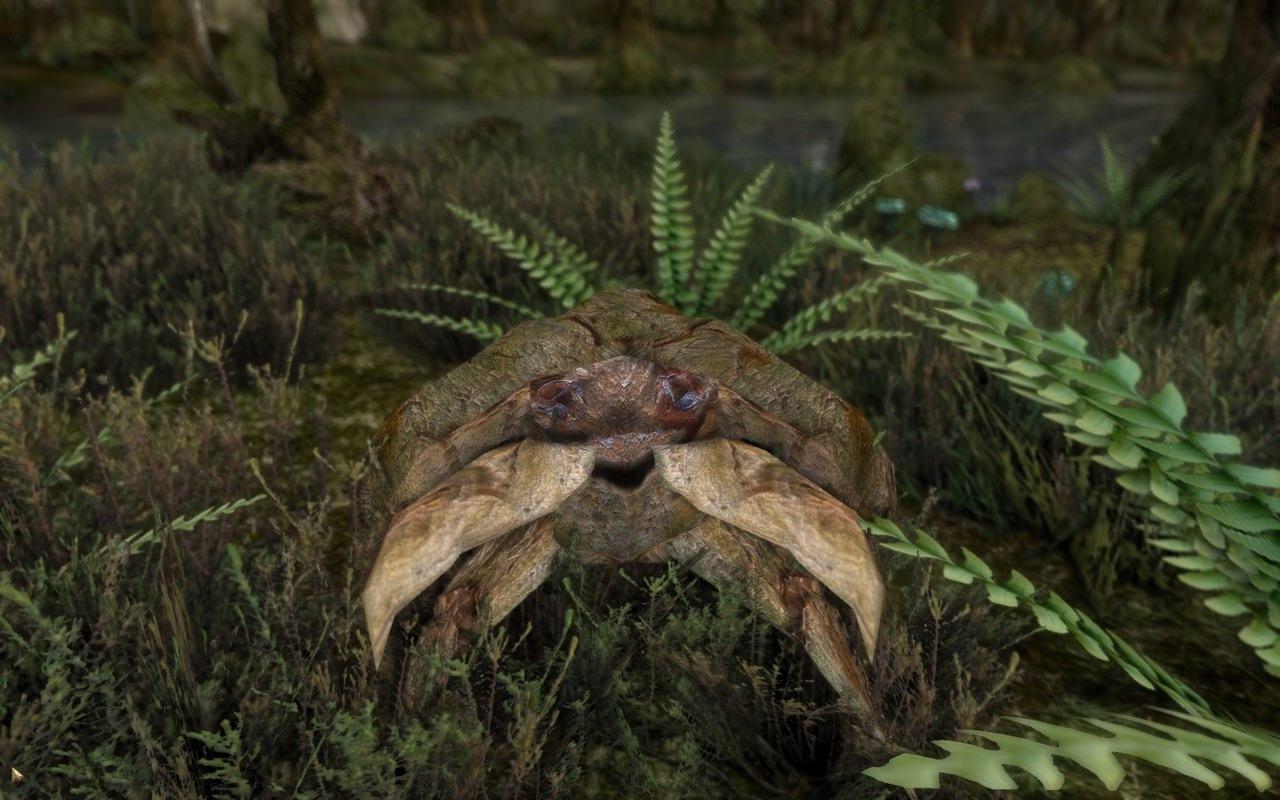 [23/03/2010] The Elder Scrolls III: Morrowind [mit Mods]