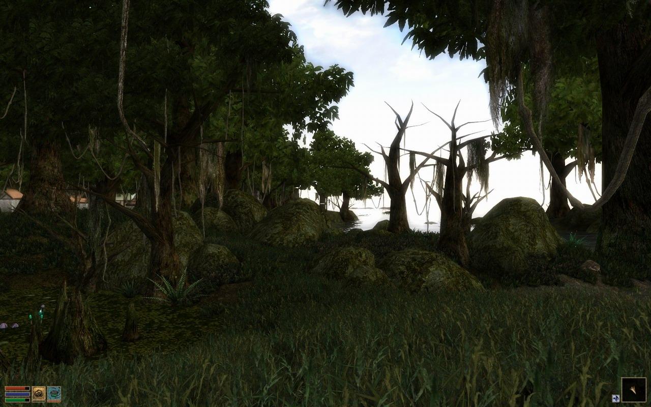 [23/03/2010] Morrowind mit Mods by BlackF0g (19)