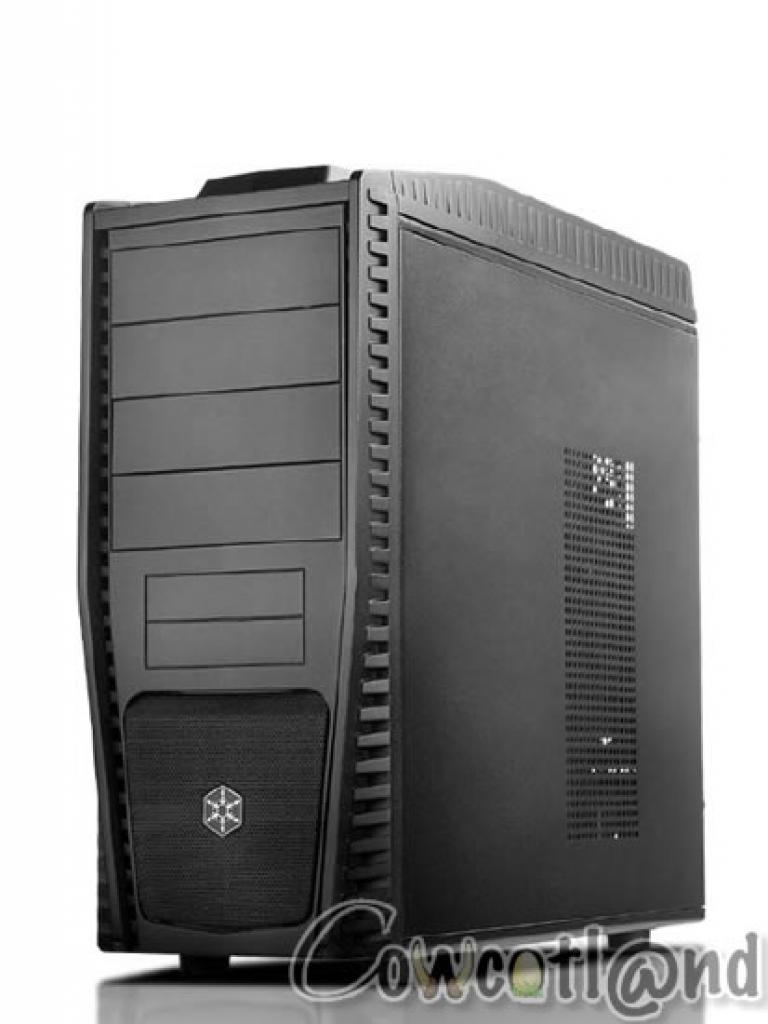 [26/03/2010] Silverstone Precision PS05 (1)