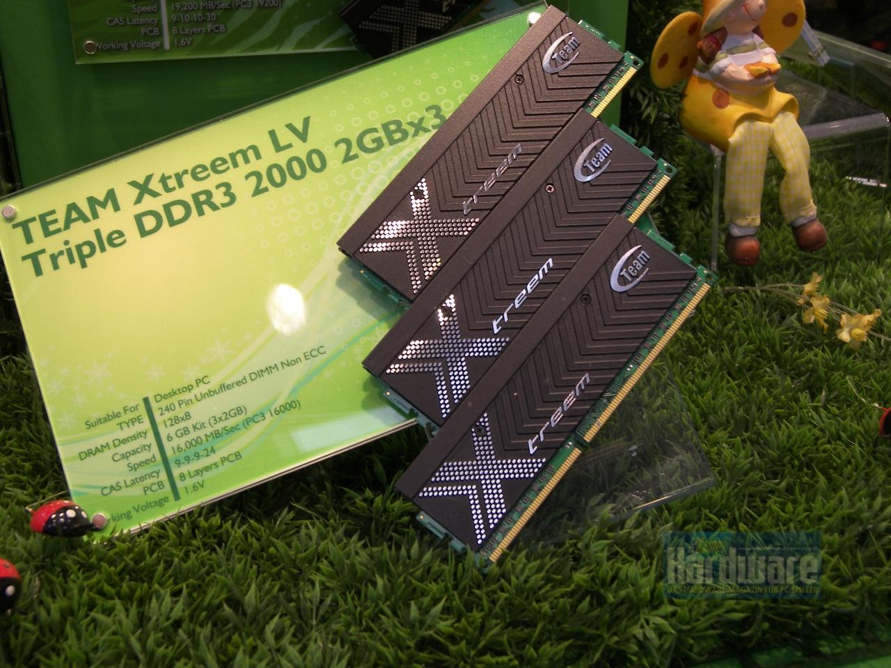[03/03/2010] Team Xtreem